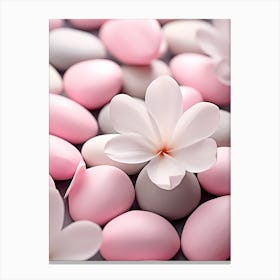 Pink Pebbles Canvas Print