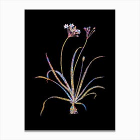 Stained Glass Allium Fragrans Mosaic Botanical Illustration on Black n.0279 Canvas Print