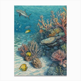 Coral Reef 5 Canvas Print