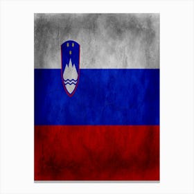 Slovenia Flag Texture Canvas Print