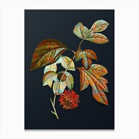 Vintage Paper Mulberry Flower Botanical Watercolor Illustration on Dark Teal Blue n.0864 Canvas Print