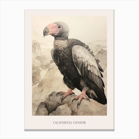 Vintage Bird Drawing California Condor 3 Poster Canvas Print