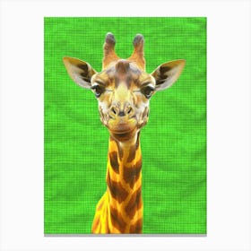 Giraffe On Green Background Canvas Print