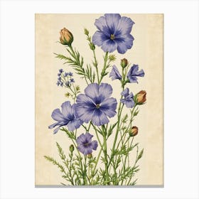 Blue Geraniums Canvas Print