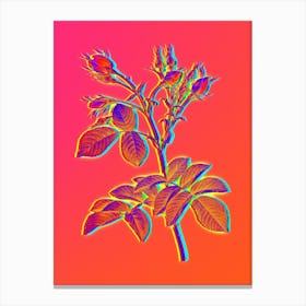 Neon Evrat's Rose with Crimson Buds Botanical in Hot Pink and Electric Blue n.0493 Canvas Print