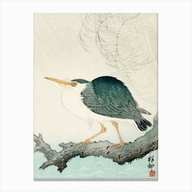 Heron In The Rain Canvas Print