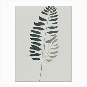 Southern Maidenhair Fern Simplicity Canvas Print