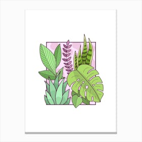 Framed Plants Canvas Print