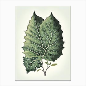 Silverberry Leaf Vintage Botanical 2 Canvas Print