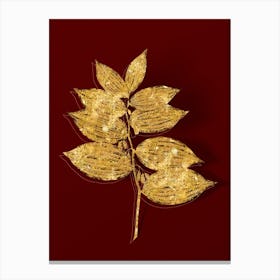 Vintage King Solomon's Seal Botanical in Gold on Red n.0324 Canvas Print