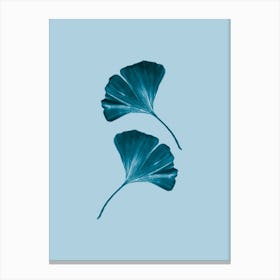 Ginko Blue Handrawn Canvas Print