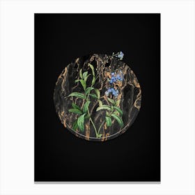 Vintage Forget Me Not Botanical in Gilded Marble on Shadowy Black Canvas Print