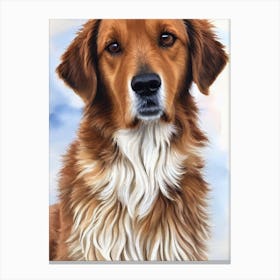 Berger Picard Watercolour dog Canvas Print