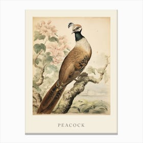 Beatrix Potter Inspired  Animal Watercolour Peacock 2 Canvas Print