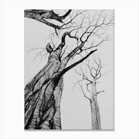 Trees Canvas Print