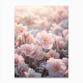 Frosty Botanical English Primrose 2 Canvas Print