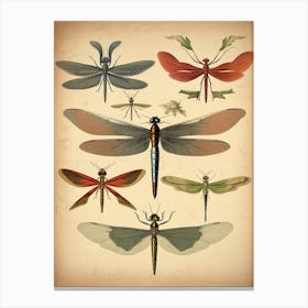 Dragonfly Geometric 1 Canvas Print