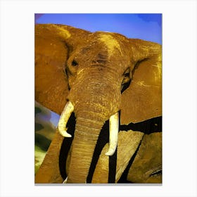 Elephant Living In Its Natural Habitat At Tsavo Ea Canvas Print