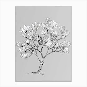 Magnolia Tree Minimalistic Drawing 3 Canvas Print