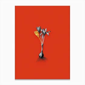 Vintage Autumn Crocus Black and White Gold Leaf Floral Art on Tomato Red 1 Canvas Print