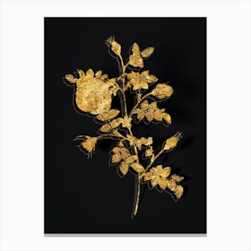 Vintage Silver Flowered Hispid Rose Botanical in Gold on Black n.0578 Canvas Print