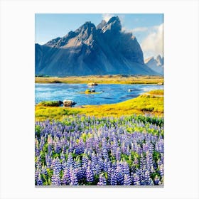 Lupins In Iceland Canvas Print