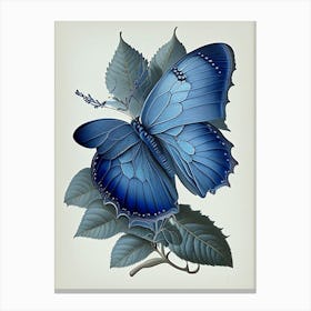Holly Blue Butterfly Retro Illustration 2 Canvas Print