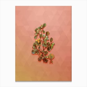 Vintage Spathula Leaved Thorn Botanical Art on Peach Pink n.0611 Canvas Print