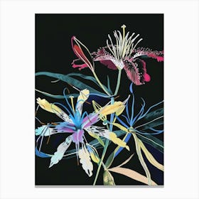 Neon Flowers On Black Love In A Mist Nigella 1 Canvas Print