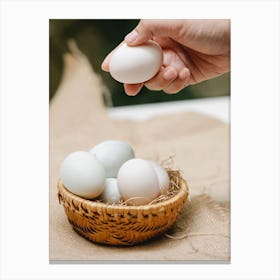 White Eggs In A Basket Canvas Print