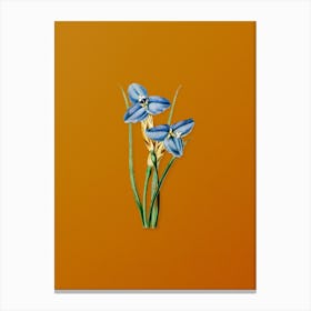 Vintage Sapphire Patersonia Botanical on Sunset Orange n.0173 Canvas Print