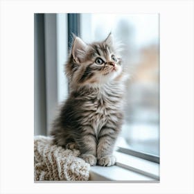 Kitten Looking Out Of Window Canvas Print