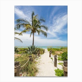 The Sandy Path To The Beach Canvas Print