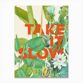 Take It Slow Canvas Print