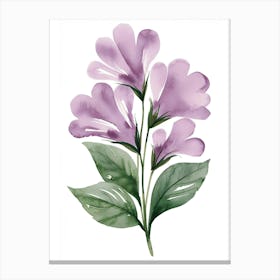 Watercolor Purple Flowers Canvas Print