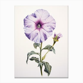 Pressed Flower Botanical Art Petunia 2 Canvas Print
