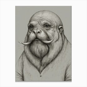 Walrus 4 Canvas Print