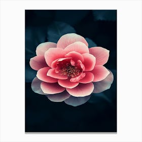 Pink Flower In Water Canvas Print