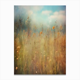 Field Of Wildflowers 2 Canvas Print