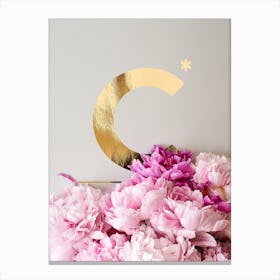 Flower Alphabet C Canvas Print