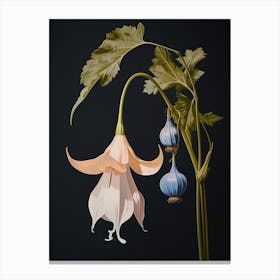 Flower Illustration Bluebell 2 Canvas Print