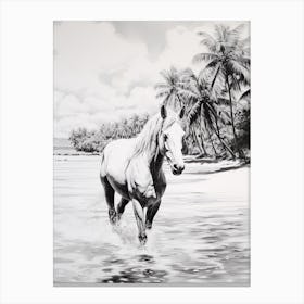 A Horse Oil Painting In Bora Bora French, Polynesia, Portrait 4 Canvas Print