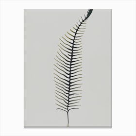 Forked Spleenwort Simplicity Canvas Print