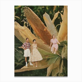 Corn Canvas Print