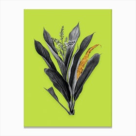 Vintage Cordyline Fruticosa Black and White Gold Leaf Floral Art on Chartreuse n.0816 Canvas Print