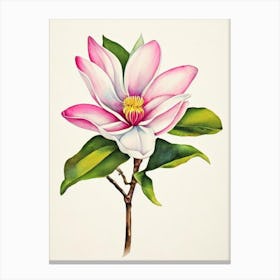 Magnolia 1 Vintage Flowers Flower Canvas Print