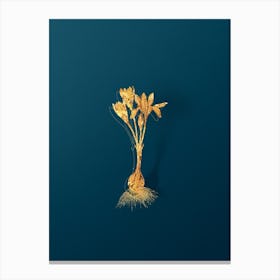 Vintage Autumn Crocus Botanical in Gold on Teal Blue n.0332 Canvas Print