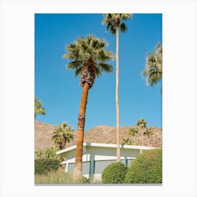 Palm Springs Architecture VI on Film Canvas Print