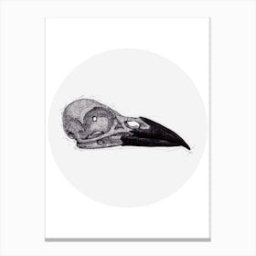 Crow Skull Canvas Print