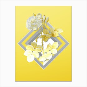 Botanical Damask Rose in Gray and Yellow Gradient n.056 Canvas Print